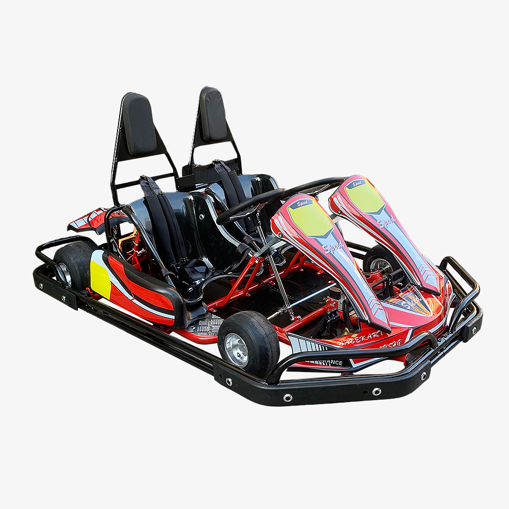 Gasoline Double Seats Karts RENTAL