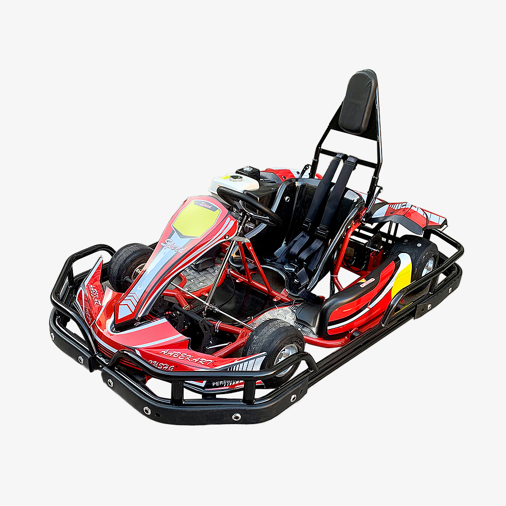 Gasoline engine karts RENTAL